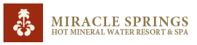 Miracle Springs Logo
